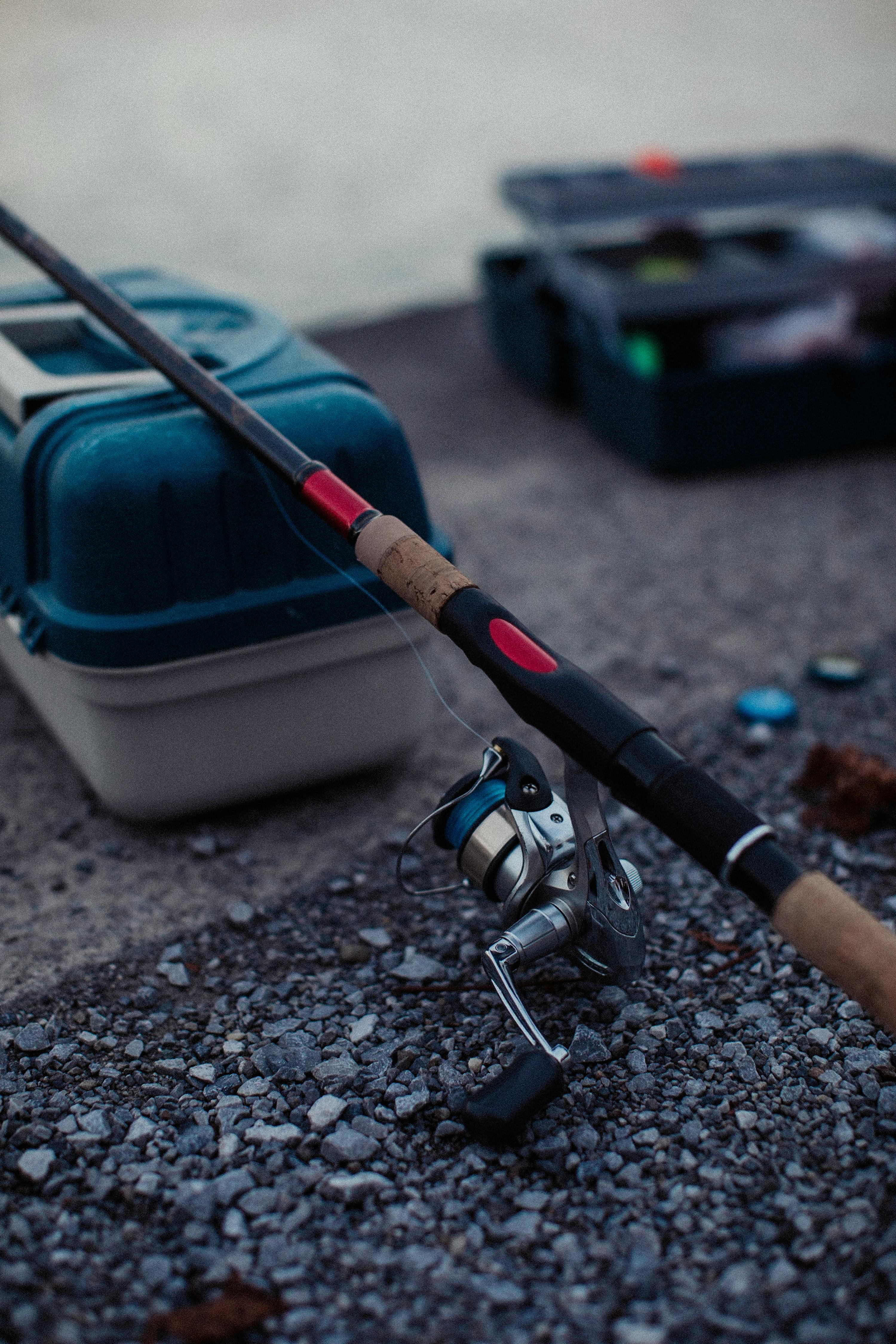 Angelruten und Rollen